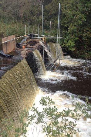 Sevenacres Weir Barrier to Fish Migration