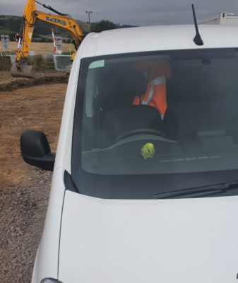 James, the Covanburn Budgie