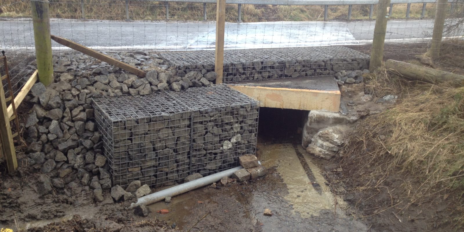 Longmuir Culvert Plantation