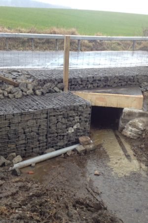 Longmuir Culvert Plantation