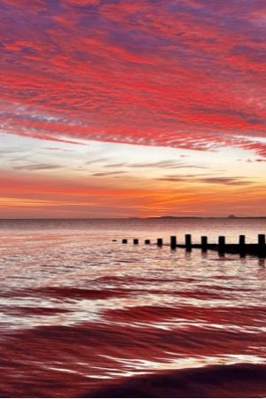 Portobello Timber Groynes