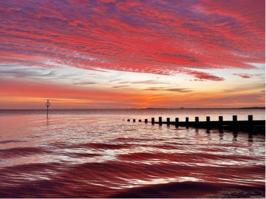 Repair of Portobello Timber Groynes