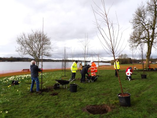 Covid Memorial Community Engagement