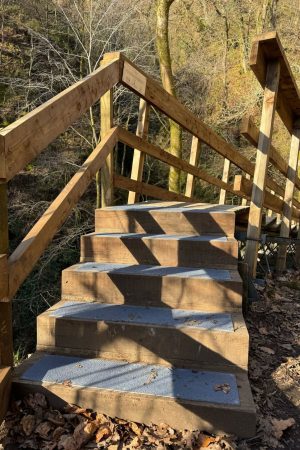 Dollar Glen Bridge