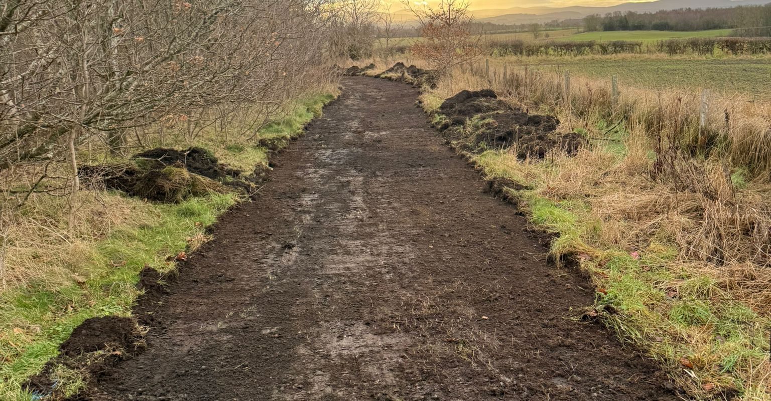Newton Pathways