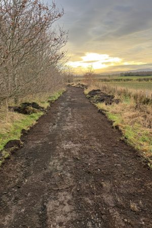 Newton Pathways